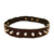 Taming Collar icon.png