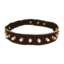 Taming Collar icon.png