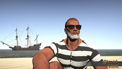 Item sunglasses hornrimmed.jpg