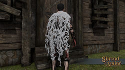 SotA Spider Web Cloak.jpg