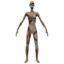 Conversationalist, Putrid Zombie Female icon.png