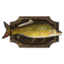 Mounted Carp icon.png