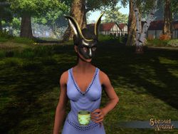 SS 4Elg SilverAndGoldLepusMask A.jpg