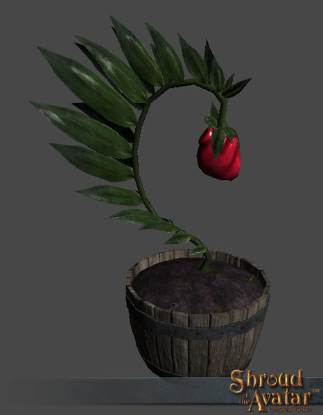 File:SotA Immortality Fruit Tree.jpg