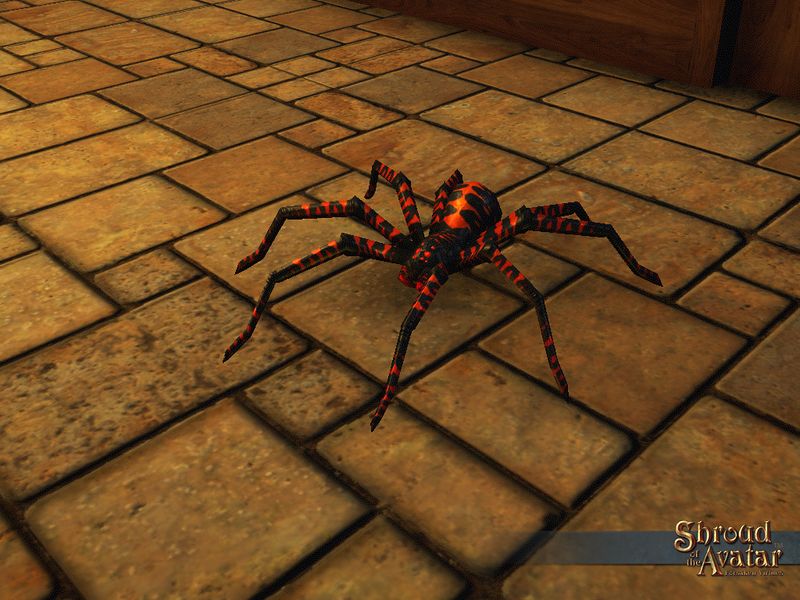 File:SS 4Starr BlackAndOrange Spider A.jpg