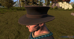 SotA PlagueDoctorHat pattern.jpg
