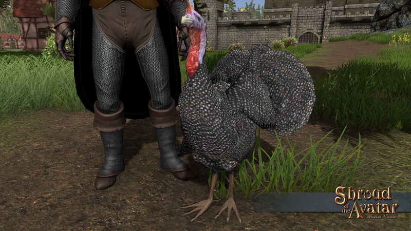 File:SotA Speckled-Turkey standing-1.jpg