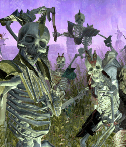 SotaSkeletons.png