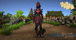 Elven elite mage armor front pattern.jpg