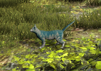 Cantabrigian Cat.png