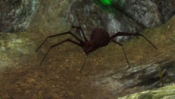 Ferocious Brown Arachnid 3.jpg