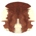 Cow Skin Rug icon.png