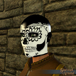 SotA DoD Mask.jpg