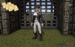 SotA FlechierTapestryFormalSuite pattern.jpg