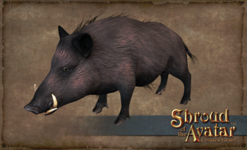 Boar-1.png