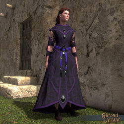 SotA Elven Elder Mage Robe.jpg