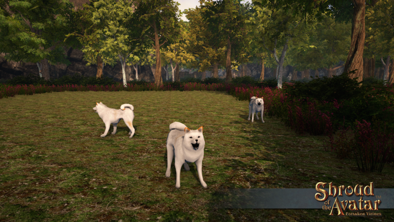 SS Cream Shiba Inu overlay.png