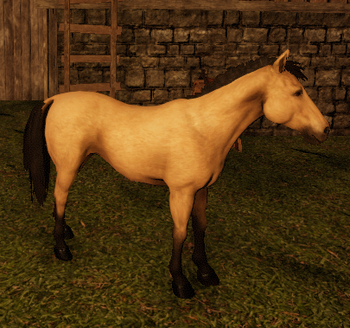 Buckskin Horse.png