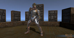 SotA Steel Clockwork Armor front.jpg