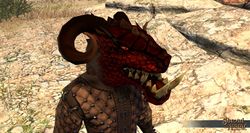 SotA KoboldFighter Mask.jpg