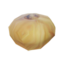 Onion icon.png