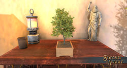 SotA TabletopCommonLindenTree.jpg