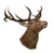 Stag Head.png