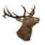 Stag Head.png