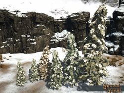 SS 4Starr SnowySpruceTree 6Pack B.jpg