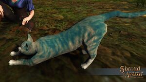 SS CrownShop CatTabbyCantabrigian A.jpg