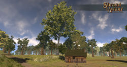 SotA EpicCommonLindenTree.jpg