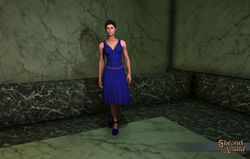 SS Store PartyDress C.jpg