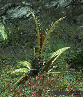 SotA FleshFlayer.jpg