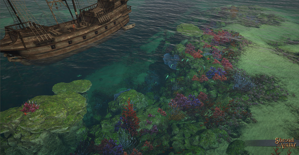 SS FishingExpedition B.jpg