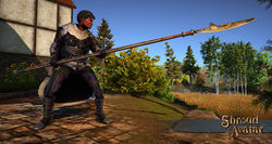 Sota ornate glaive.jpg