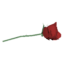 Red Rose icon.png