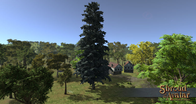 File:SotA EpicBlueSpruceTree.jpg