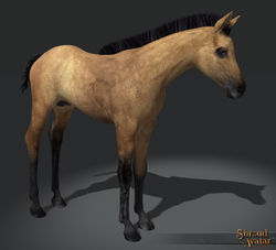 SotA MountStretchGoal HorseFoalBuckskin.jpg