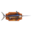 Swordfish Trophy