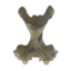 Dragon Neck Bone icon.png