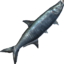 Tarpon icon.png