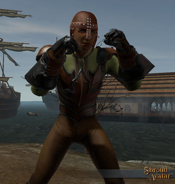 File:SotA Emote Developer ShadowBox.jpg