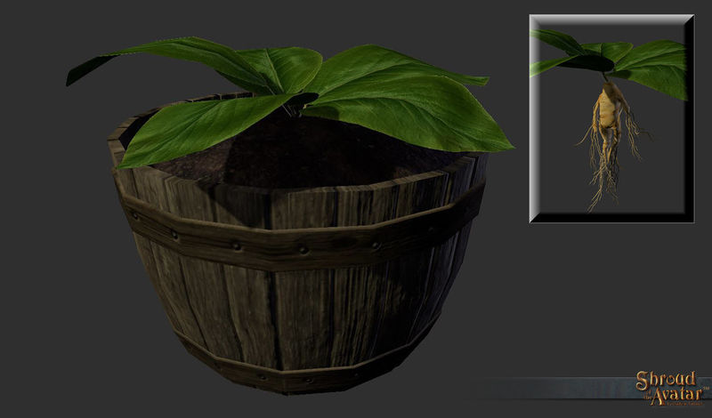 File:SotA Reagent Mandrake.jpg