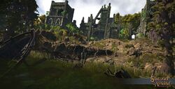 SouthFetidSwamp 005.jpg