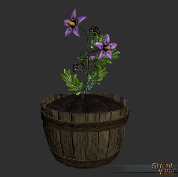 File:SotA Reagent Nightshade.jpg