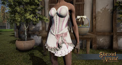 SotA RabbitTailedBodice front.jpg