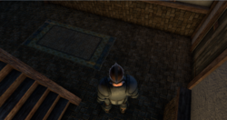 Rectangle Rug (Orange and Yellow) Reference.png