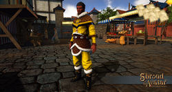 Sota-viking-merchant-outfit-pattern.jpg
