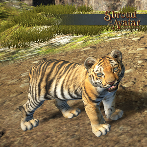 SotA 03-30-22 18-04 1 tiger.png