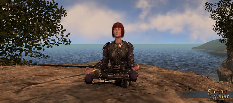 File:SotA Emote Meditate.jpg